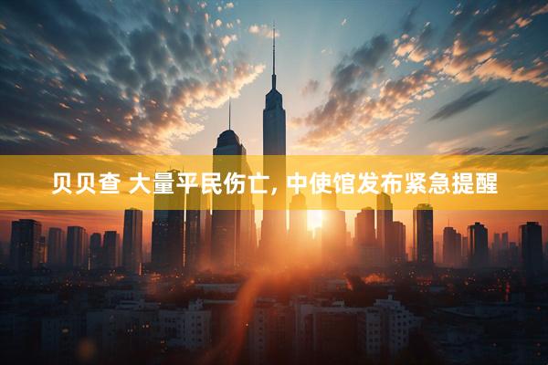 贝贝查 大量平民伤亡, 中使馆发布紧急提醒
