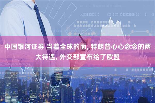 中国银河证券 当着全球的面, 特朗普心心念念的两大待遇, 外交部宣布给了欧盟