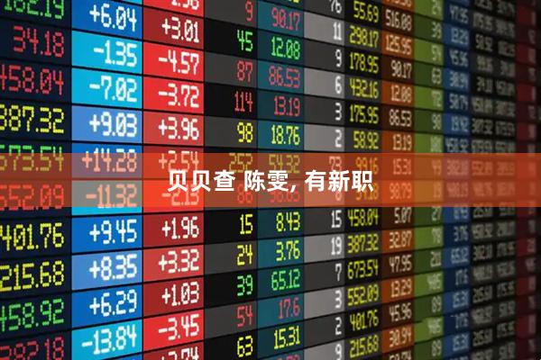 贝贝查 陈雯, 有新职