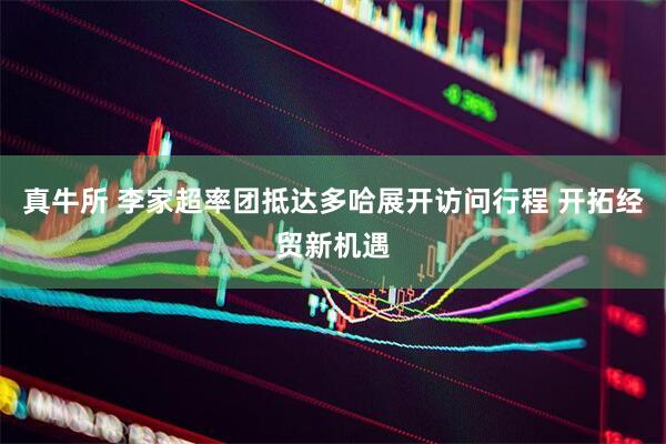 真牛所 李家超率团抵达多哈展开访问行程 开拓经贸新机遇