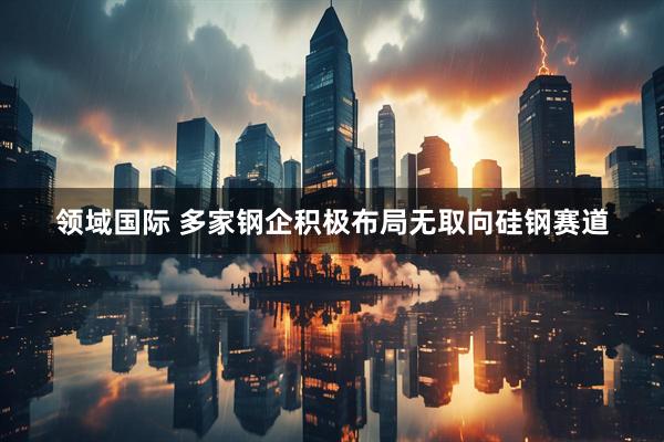 领域国际 多家钢企积极布局无取向硅钢赛道