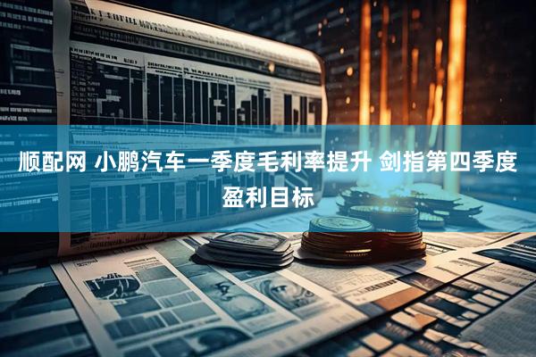 顺配网 小鹏汽车一季度毛利率提升 剑指第四季度盈利目标