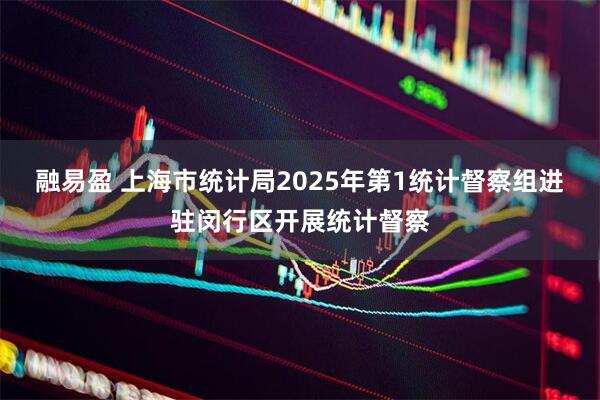融易盈 上海市统计局2025年第1统计督察组进驻闵行区开展统计督察
