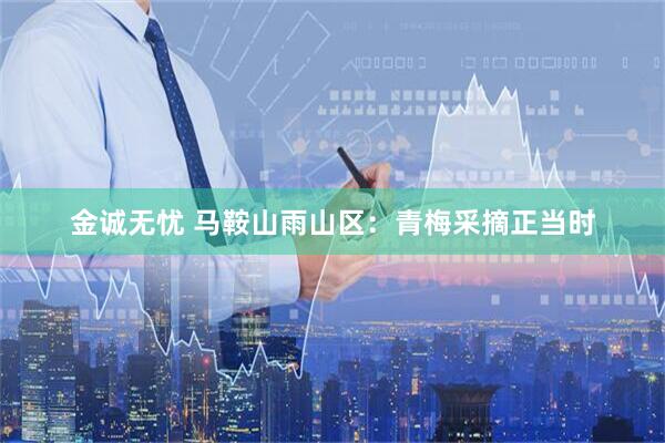 金诚无忧 马鞍山雨山区：青梅采摘正当时
