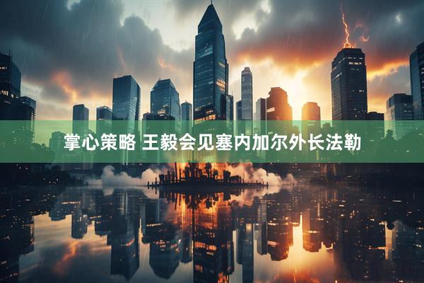 掌心策略 王毅会见塞内加尔外长法勒