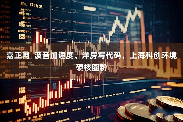 嘉正网  波音加速度、洋房写代码，上海科创环境硬核圈粉