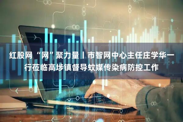 红股网 “网”聚力量丨市智网中心主任庄学华一行莅临高埗镇督导蚊媒传染病防控工作