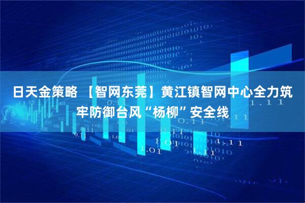 日天金策略 【智网东莞】黄江镇智网中心全力筑牢防御台风“杨柳”安全线