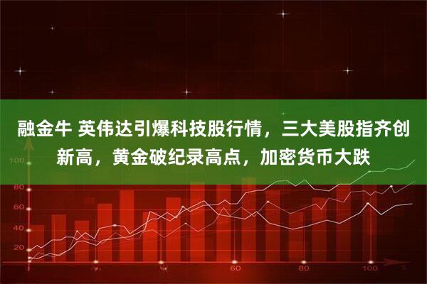 融金牛 英伟达引爆科技股行情，三大美股指齐创新高，黄金破纪录高点，加密货币大跌