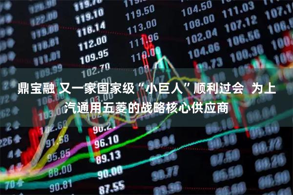 鼎宝融 又一家国家级“小巨人”顺利过会 为上汽通用五菱的战略核心供应商